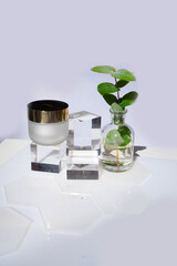 Laboratory cream on glass podiums
