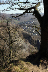 ausblick vom oestricher burgberg