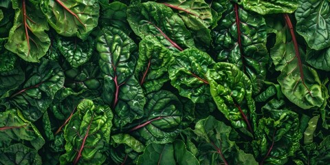 Organic Vegetable Leafy Texture Close-up - obrazy, fototapety, plakaty
