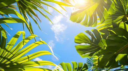 Photo sur Aluminium Jaune Tropical foliage illuminated by golden sunlight against a vivid blue sky, evoking paradise.