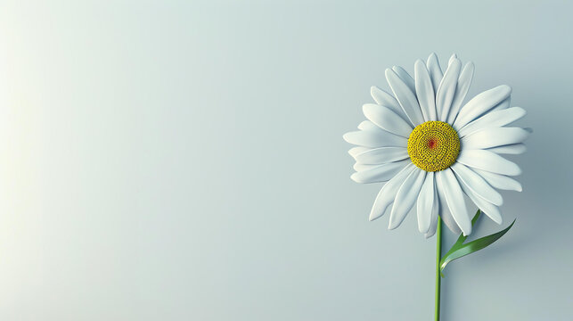 3D illustration of a white daisy flower with a yellow center and green stem on a pale blue background.