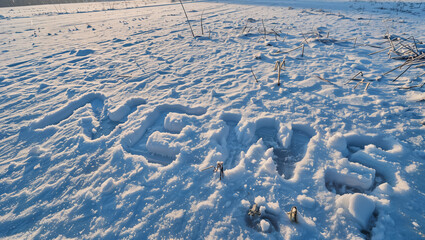 On a sunny winter day, the children have stepped "NEWS" into the snow.