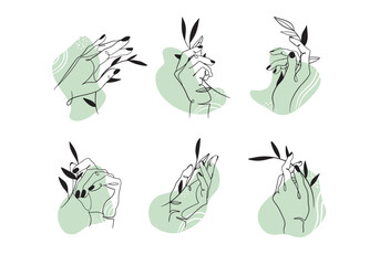 Set of elegant line drawn hands, outline drawing