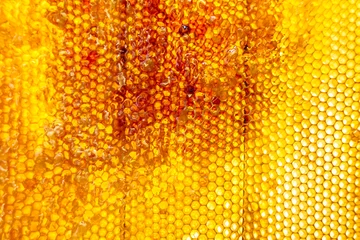 Tuinposter Drop of bee honey drip from hexagonal honeycombs filled with golden nectar © oleg525