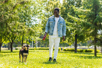 latin american man walking with his cute dog at sunny day in city park lawn on the grass