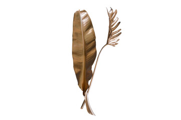 Tropical golden leaves on transparent background.(Monstera,palm,coconut) PNG.