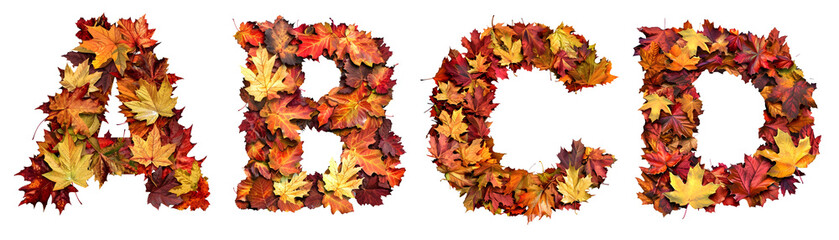 Naklejka na ściany i meble A to Z English alphabet letter design made of autumn leaves. Letter A. B. C. D on transparent background cutout - Generative AI