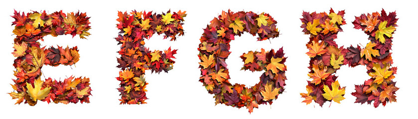 A to Z English alphabet letter design made of autumn leaves. Letter E, F, G, H on transparent background cutout - Generative AI