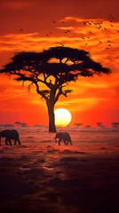 Muurstickers The Majestic Silhouette of an Elephant against the African Savannah Sunset © Alta