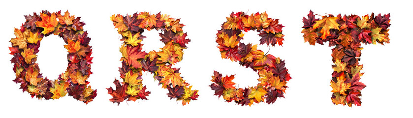 A to Z English alphabet letter design made of autumn leaves. Letter Q, R, S, T on transparent background cutout - Generative AI