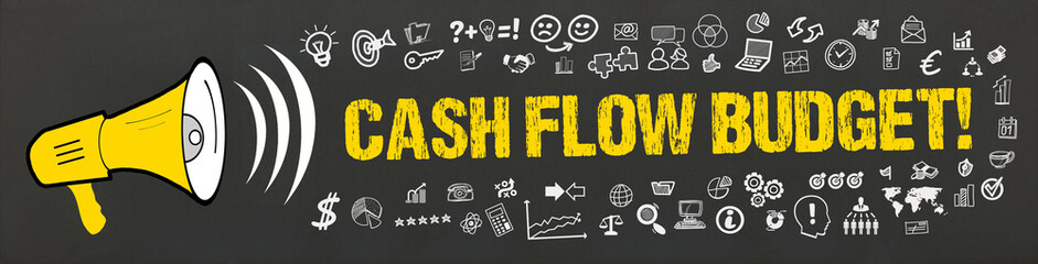 Cash Flow Budget! - obrazy, fototapety, plakaty