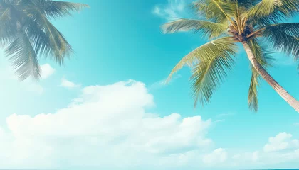 Crédence de cuisine en verre imprimé Turquoise Sky and palm tree on summer background on the beach