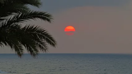 Zelfklevend Fotobehang sunset beach palm tree backlight warm sun reddish sea coast summer vacations rest © J. Francés