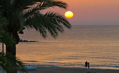 Schilderijen op glas sunset beach palm tree backlight warm sun reddish sea coast summer vacations rest © J. Francés