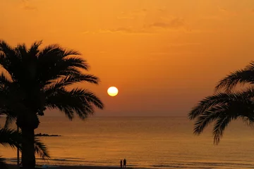 Schilderijen op glas sunset beach palm tree backlight warm sun reddish sea coast summer vacations rest © J. Francés