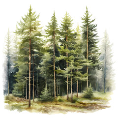 watercolor forest, trees, nature generative ai - 767069608