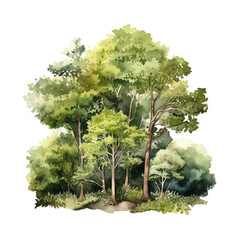 watercolor forest, trees, nature generative ai - 767069662