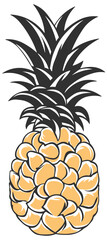 vector pineapple drawing without background