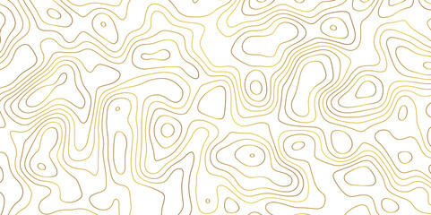 Topographic map and landscape terrain texture grid. Abstract lines background. Contour maps. Vector illustration. golden and white topographic contours lines of mountains.	