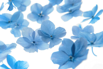 Blurry Blue Flowers in Flight