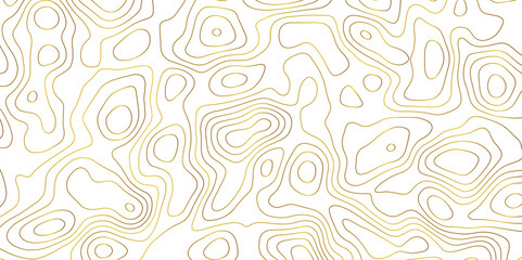 Topographic map and landscape terrain texture grid. Abstract lines background. Contour maps. Vector illustration. golden and white topographic contours lines of mountains.	
