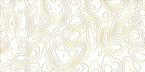 Topographic map and landscape terrain texture grid. Abstract lines background. Contour maps. Vector illustration. golden and white topographic contours lines of mountains.	