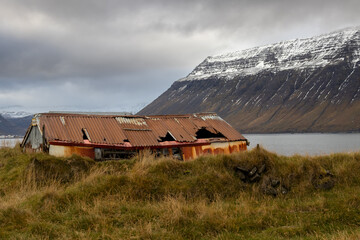 Abandoned house on the coast of a fjord, Iceland