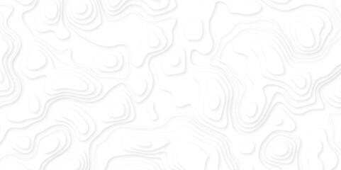 Abstract white paper cut background with line. 3d topography relief. Vector topographic illustration. realistic papercut decoration textured with wavy layer and shadow. seamless pattern wave design.