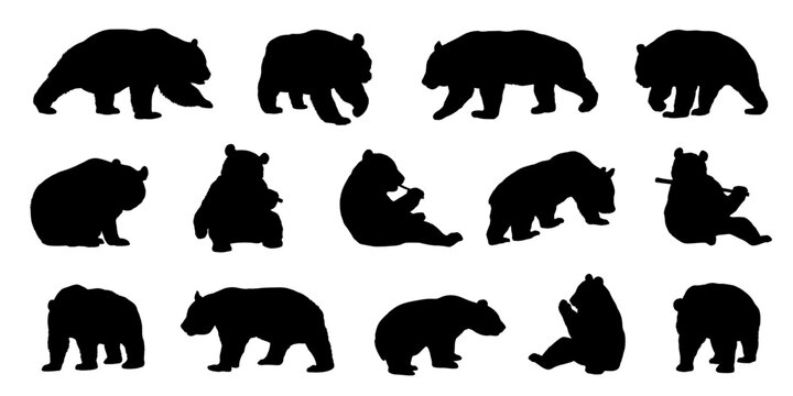 giant panda silhouettes on the white background