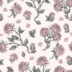 Flowers roses pattern seamless colorful