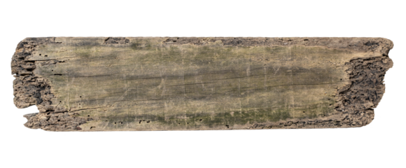 Sea drift wood plank isolated on transparent background. Template mockup