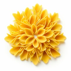 Beautiful Flower shaped Pasta isolated on white background
