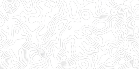 Topographic map and landscape terrain texture grid. Abstract lines background. Contour maps. Vector illustration. black and white topographic contours lines of mountains.	
