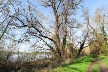 Loire river bank in Chécy village. Loire valley