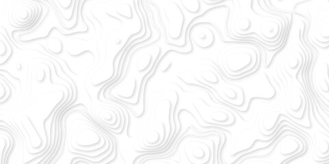 Abstract white paper cut background with line. 3d topography relief. Vector topographic illustration. realistic papercut decoration textured with wavy layer and shadow. seamless pattern wave design.