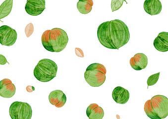 水彩で描いた鮮やかで華やかなフレッシュな梅ウメのシンプルな背景フレーム素材plum pattern