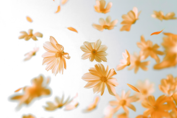 Blurry Flowers on Transparent Background