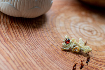 subject photography near a window with natural light on a wooden stand, a log frame of a tree, a...