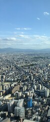 上空から見る大阪の街並み