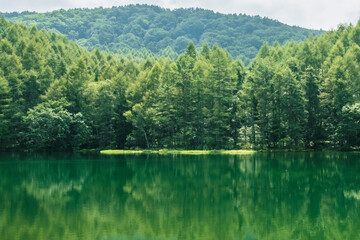 静かな湖畔