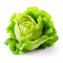 Natural and Fresh Lettuce isolated on white background 