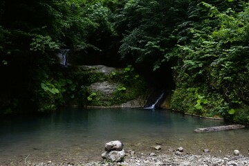 Jungles of North of Iran