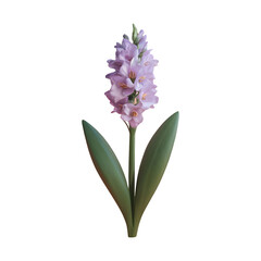 Freesia flower png isolated on transparent background