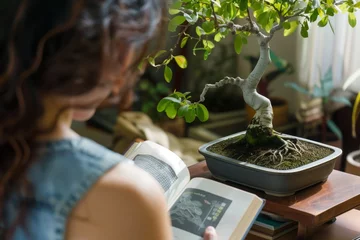 Fotobehang overtheshoulder view of reading a bonsai care book © studioworkstock