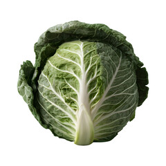 green cabbage png isolated on transparent background