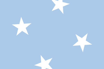 Federated States of Micronesia flag - rectangular cutout of rotated vector flag.