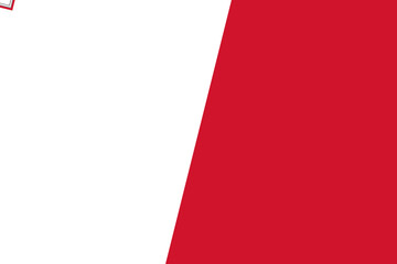 Malta flag - rectangular cutout of rotated vector flag.