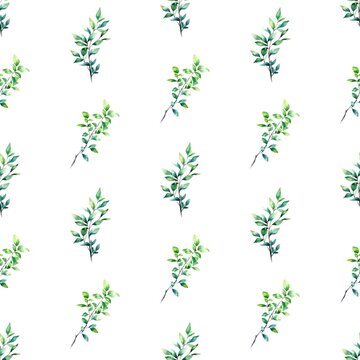 Watercolor seamless pattern with leaves on white background.