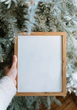 Blank photo frame surrounded by a Blue Spruce Christmas Tree