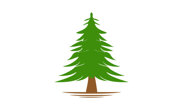 Spruce tree illustration design vector